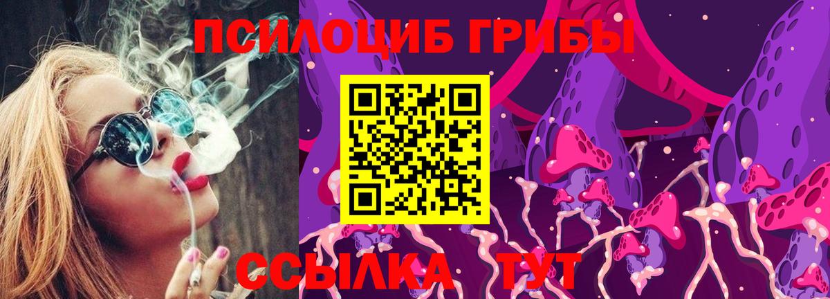Галлюциногенные грибы Magic Shrooms  Галлюциногенные грибы Magic Shrooms  Елабуга  Вход с VPN 